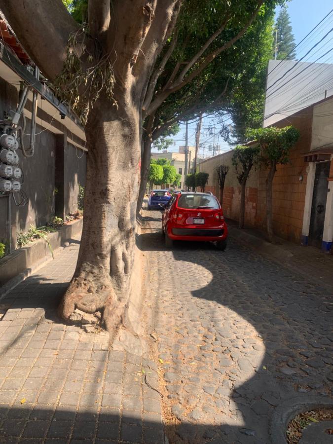 Coyoacan Magico Мексико Сити Екстериор снимка